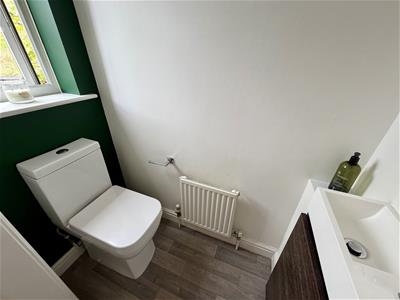 Picture 13